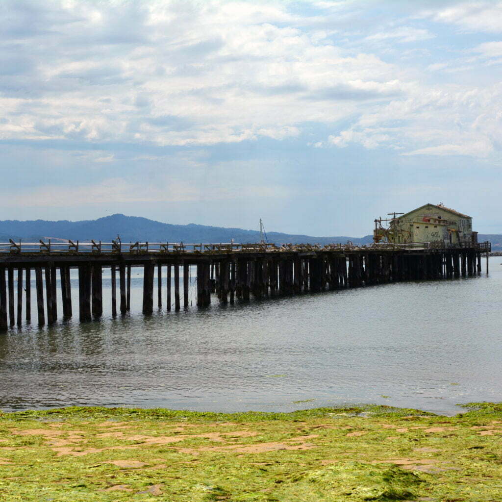 Half Moo Bay