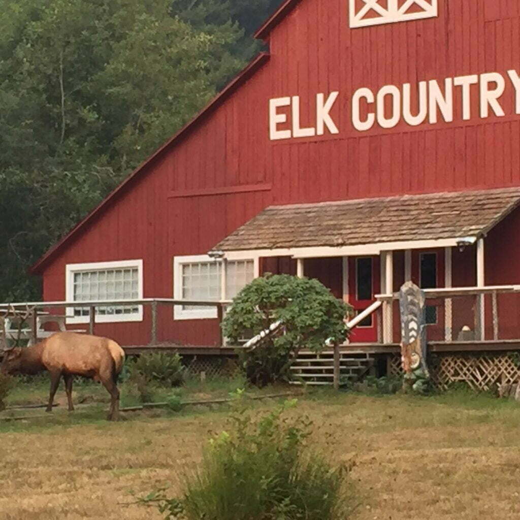 Elk Country RV Resort